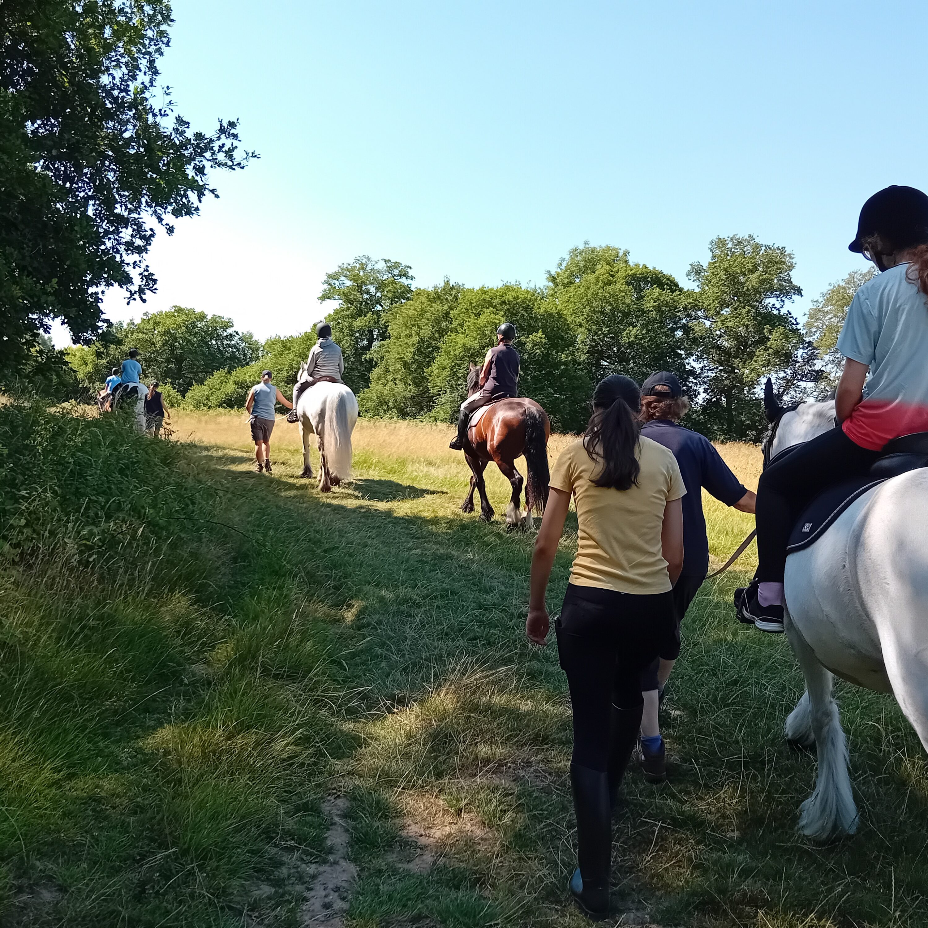 Leading provider of specialist education and residential care.